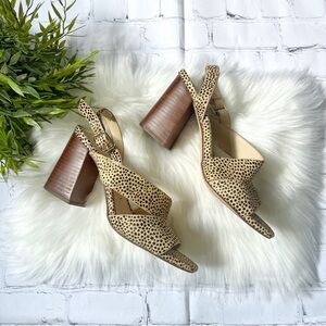 SOLE SOCIETY Cheetah Print Sandals with Block Heel and Crisscross Straps